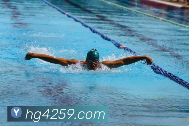 皇冠网官网服务体系